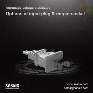 Options of input plug & output socket